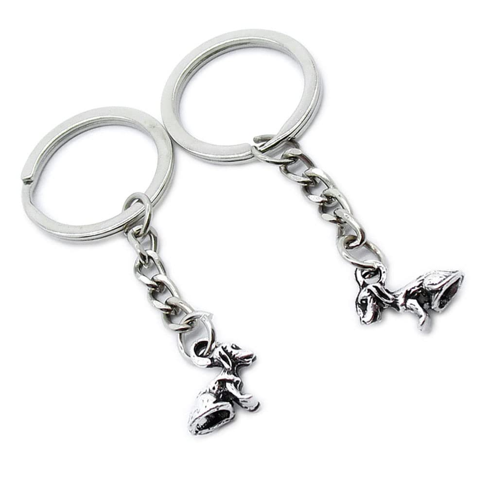 Amazon.com: 5 Pieces Keychain Keyring Door Car Key Chain Ring Tag